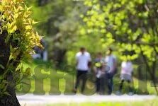 高清一区二区三区播放-探索高清影视分区的多元魅力，一区、二区、三区的独特视角